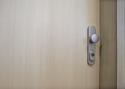 ADLO - Sikkerhedsdør ADUO, glat design, dørkarm malet i PINIA mønster